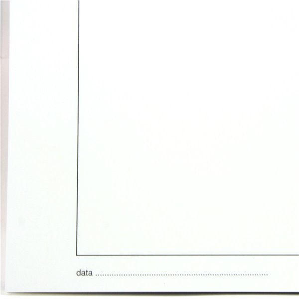 Bristol Liscio 35X50 Cf. 125 Fogli Squadrato